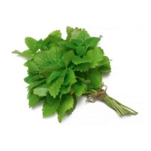 Foglie di menta 70g+