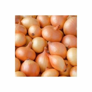 Onions white 2kg