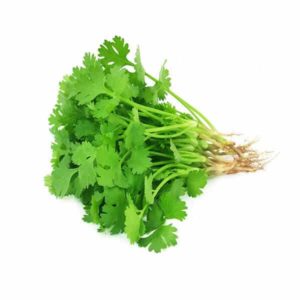 Koriander 50 g (Gemüse)